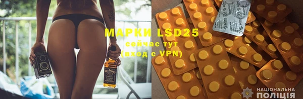 прущие грибы Баксан