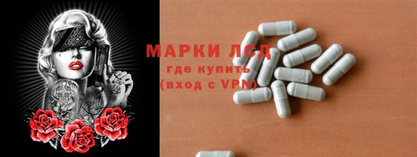 прущие грибы Баксан
