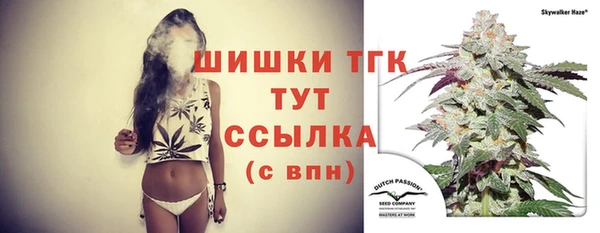 прущие грибы Баксан