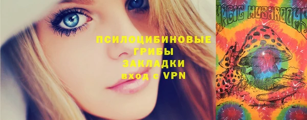 прущие грибы Баксан