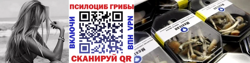 Галлюциногенные грибы мухоморы  Нерюнгри 